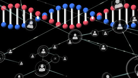 animación de una red de conexiones con iconos sobre una cadena de adn girando sobre un fondo negro
