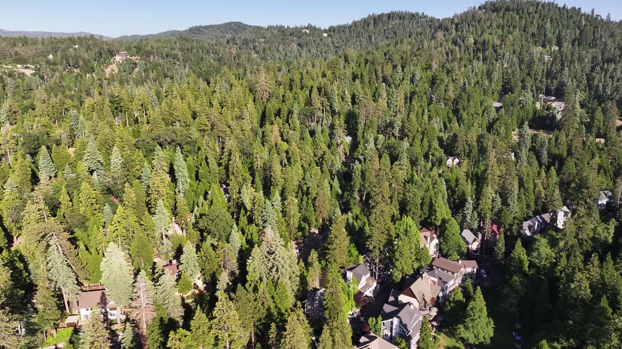 homes inside of a forest in lake arrowhead california AERIAL TRUCKING