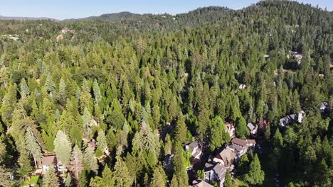 homes-inside-of-a-forest-in-lake-arrowhead-california-AERIAL-TRUCKING