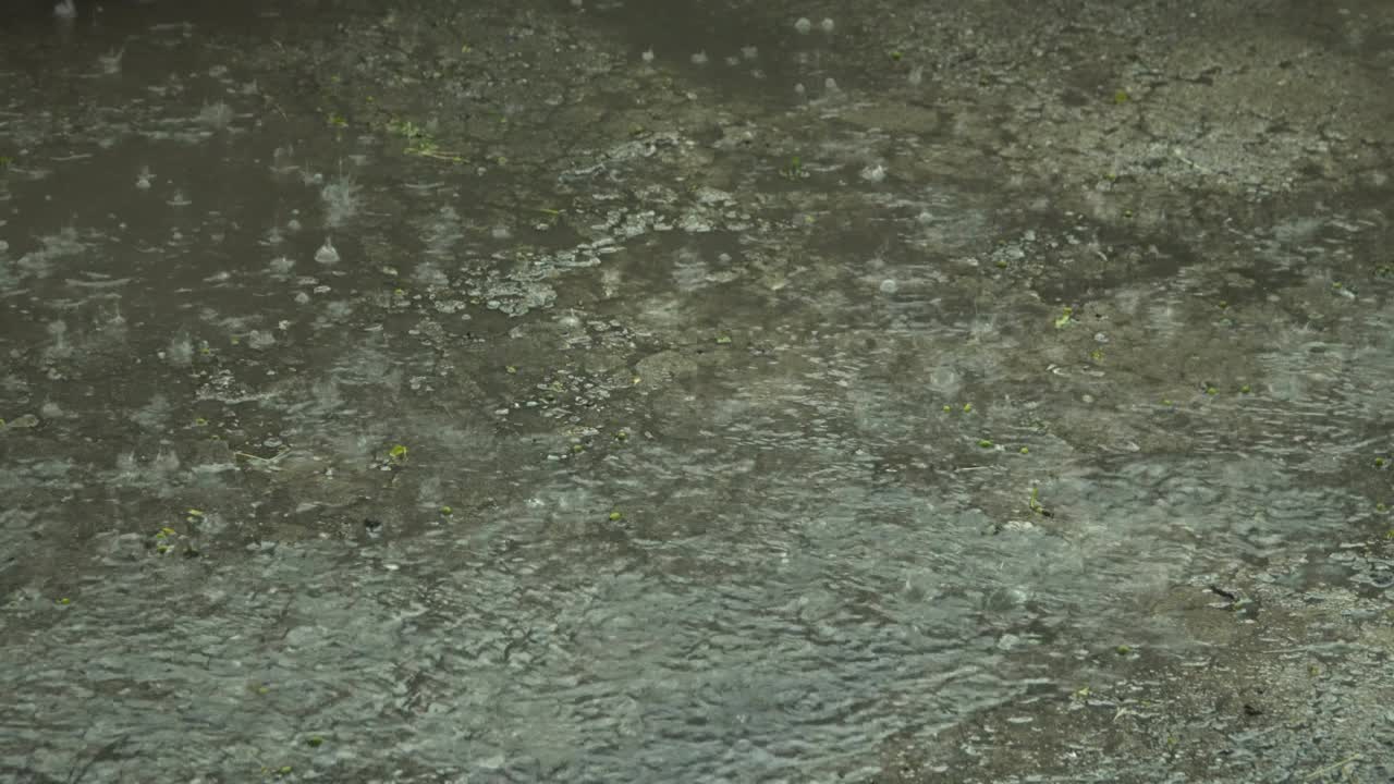 Raindrops and puddles. Rainy weather