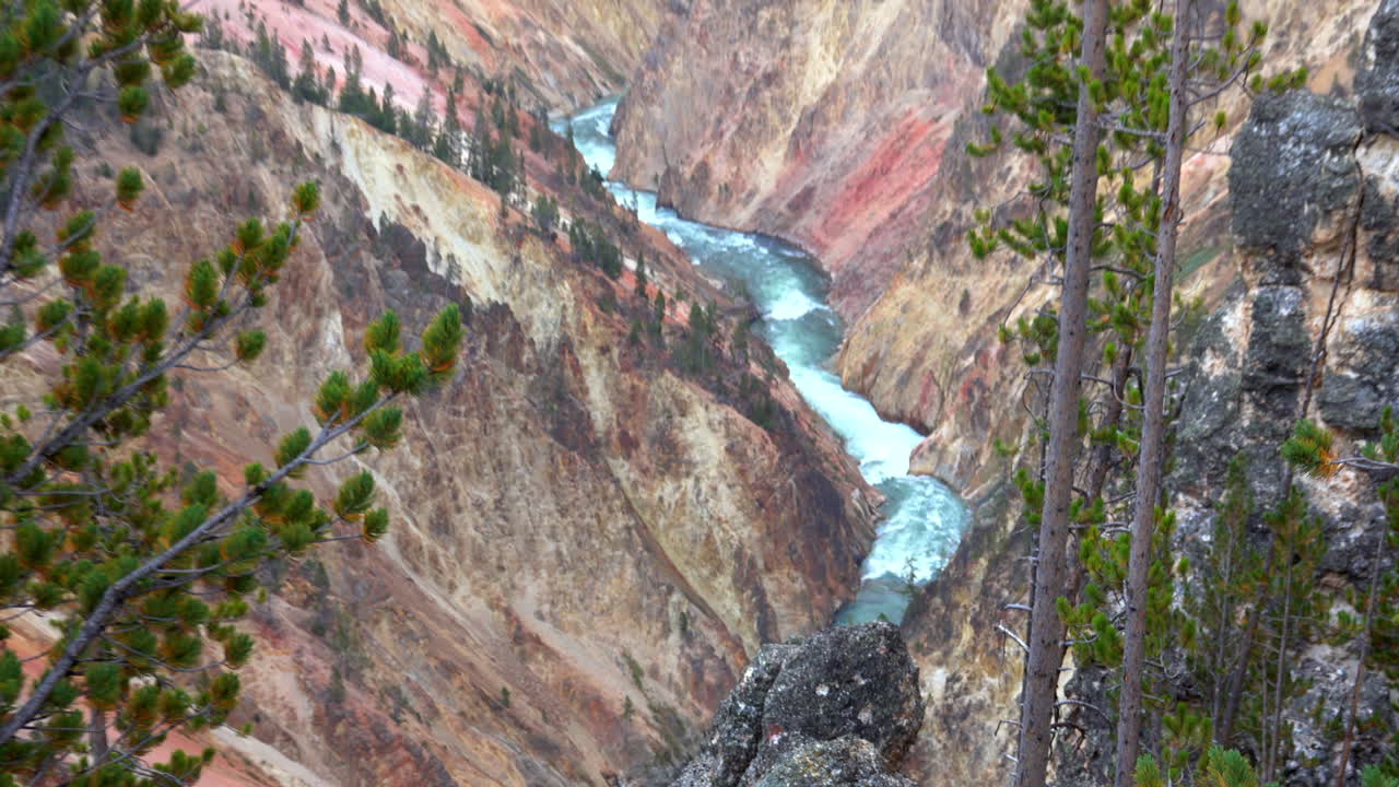 Pemandangan luas Sungai Yellowstone yang dibingkai oleh pepohonan.