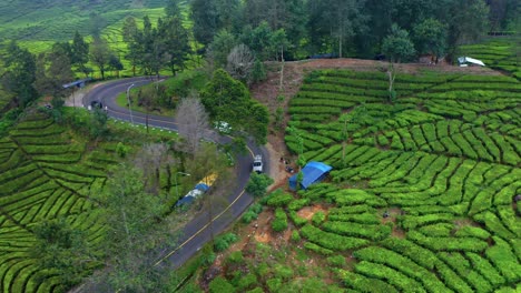 Cars-Driving-At-The-Curved-Roads-At-Tea-Plantations-Near-Ciwidey,-Bandung,-Bali-Indonesia