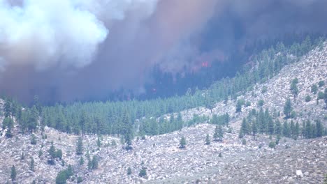 gran fuego ruge montaña abajo