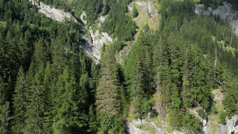 levantando la vista revelando gran colina montaña rocosa empinada hacia abajo lugar seco muy soleado árboles largos apuntando a la naturaleza pura nadie alrededor de la vegetación incorrupta lugar para la relajación apagar la mente