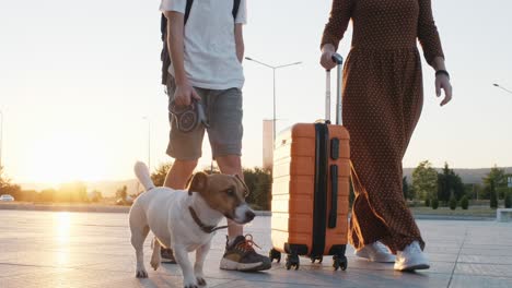 niño feliz, mujer con una maleta naranja en vestido largo y perro jack russell caminando a lo largo de la terminal del aeropuerto en lente llamaradas puesta de sol en verano en cámara lenta. familia va de viaje. viaje. turismo