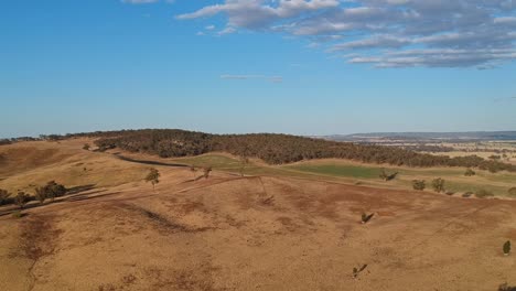 rising up over the sun drenched hills near benalla in victoria