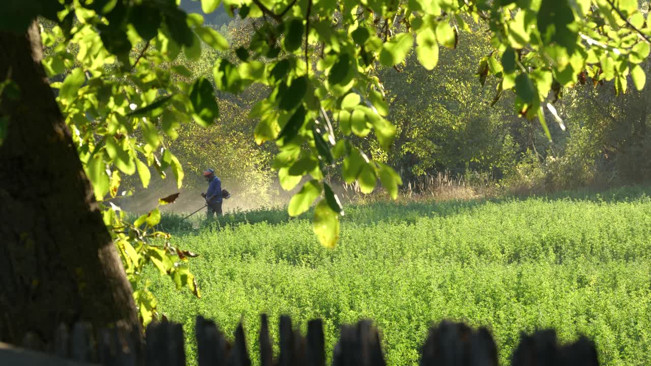 Man Doing Yard Work and Trimming Tall Grass. Slow Motion