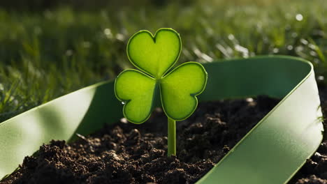 three-leaf clover growing in soil with a green ribbon