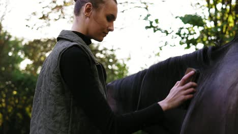 Side-view-of-attractive-young-woman-brushing-and-grooming-her-stunning-muscular-horse.-Cleaning-beautiful-and-healthy-shiny