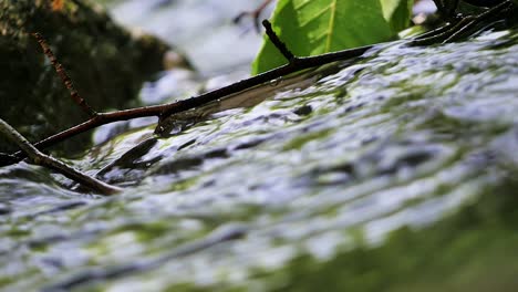 water moving past in a stream with twigs stuck in the flow of water between rocks