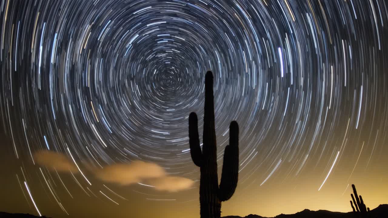 Star Trails over Saguaro Cactus in the Desert Night