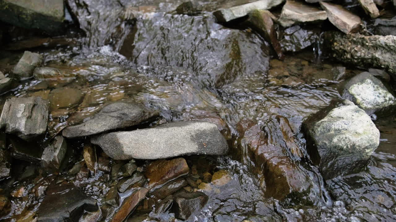 River flowing in forest from waterfall on rocks