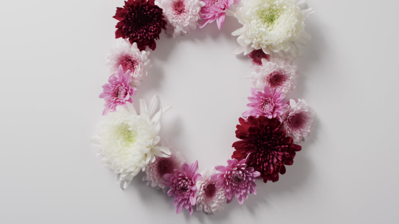 Video von weißen, roten und rosa Blumen im Kreis und Textfreiraum auf weißem Hintergrund.