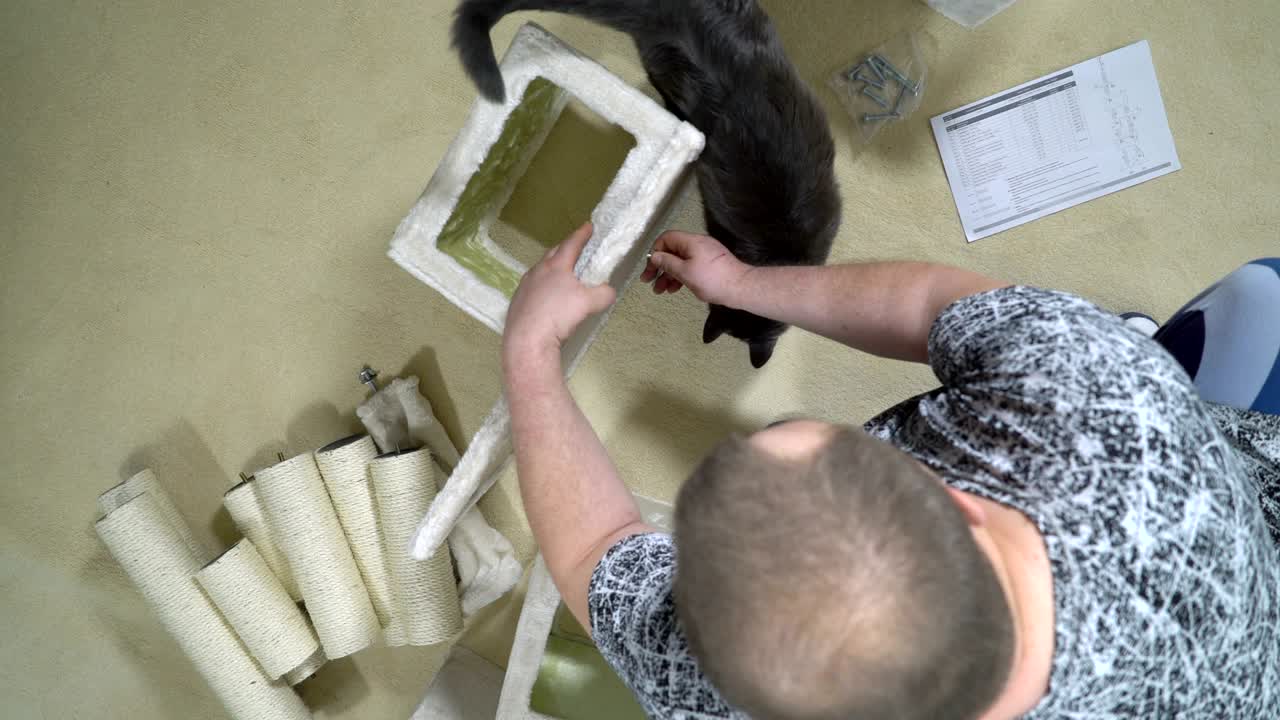 고양이와 새끼 고양이를위한 현대 가구, 박스 해제 및 조립