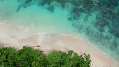 Top-down-aerial-drone-shot-of-tropical-beach