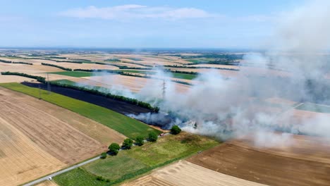 vista panorámica de un campo de grano en llamas con humo - disparo de un avión no tripulado