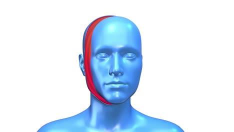 concepto de arte abstracto del cuerpo humano azul en color blanco. personaje 3d realista hombre o mujer en estilo de movimiento moderno creativo. diseño psicodélico de colores gráficos mínimos. animación de bucle de moda brillante.