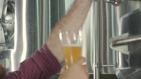 young brewer wearing a leather apron is tasting beer at a modern brewery