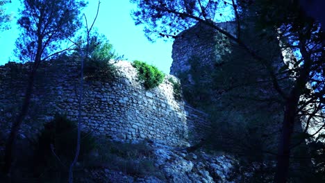 Steinruheringe-Auf-Einem-Felsen-Aus-Der-Natur-Frankreichs