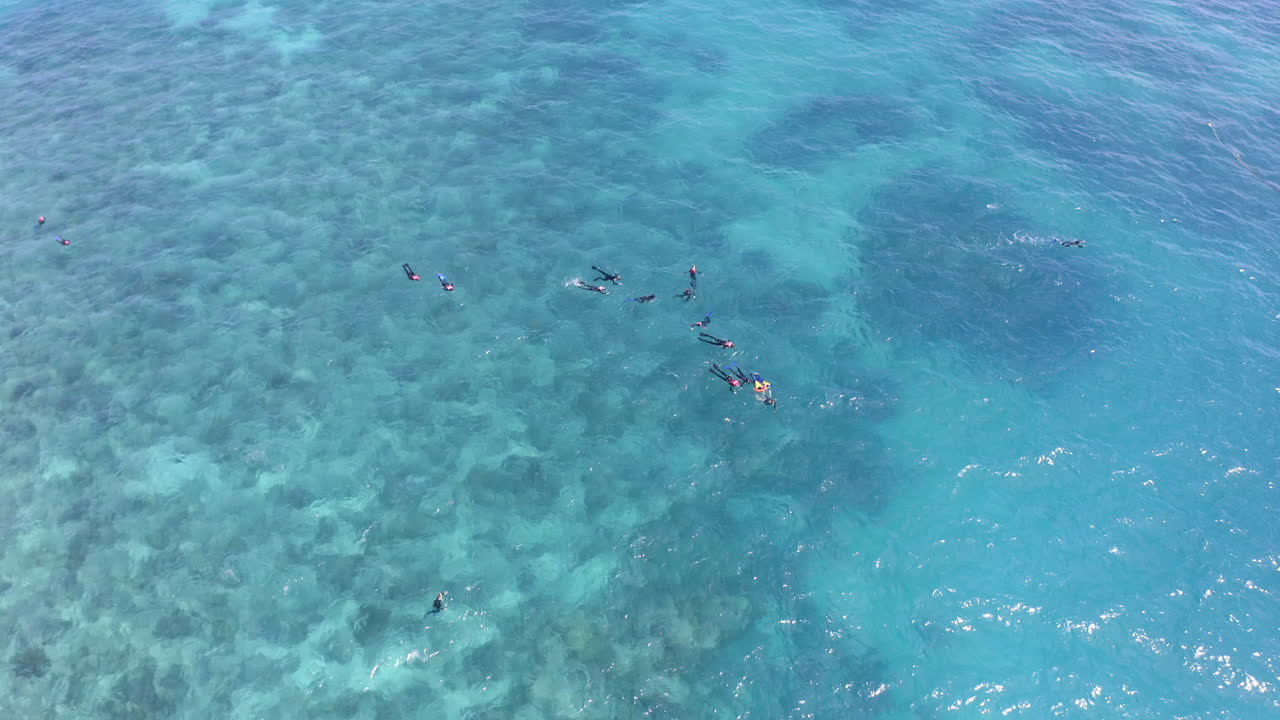 자연을 관찰할 수도 있고, 자연이 될 수도 있습니다.