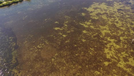 Agua-Clara-Del-Golfo-De-México-Cerca-De-La-Playa-De-Hudson-En-Florida