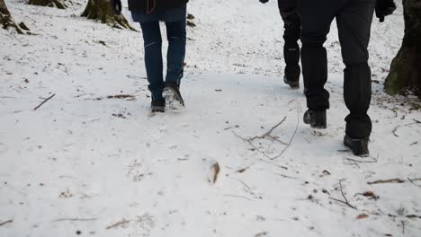 Eine-Gruppe-Von-Menschen-Wandert-Auf-Einem-Winterlich-Verschneiten-Berg,-Sinaia,-Rumänien