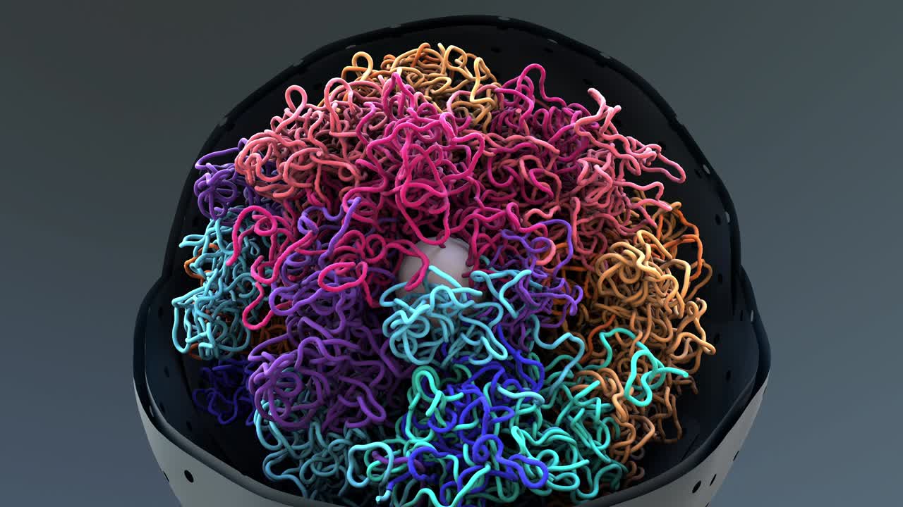 los cromosomas, el adn, las células empacan el adn en el núcleo