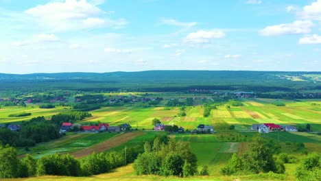 4k aerial view of agriculture in rice fields for cultivation