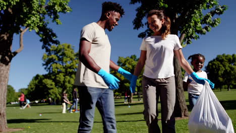 community park cleanup