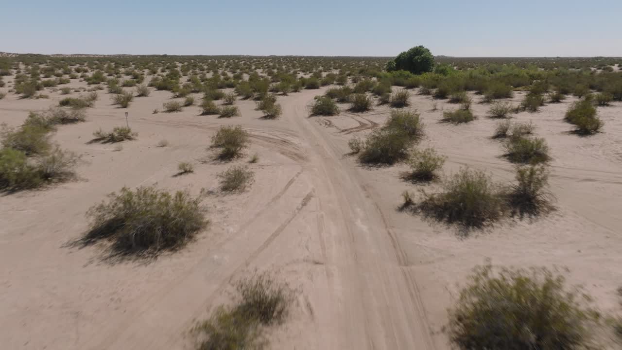 toma aérea de un oasis del desierto en california, camino arenoso fuera de la carretera con pistas y arbustos