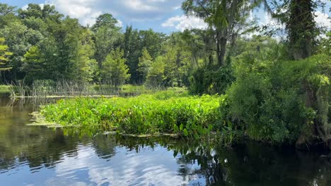 enjoying a boat ride on the river in the wakulla springs state park in tallahassee, florida on a bright summer day