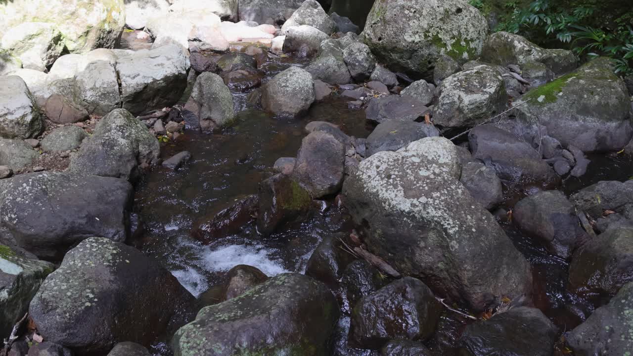 Water flowing over rocks in rainforest creek