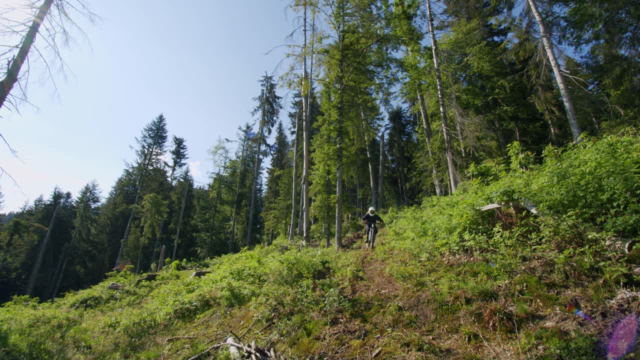 ciclista de montaña sale del bosque a una exuberante apertura forestal