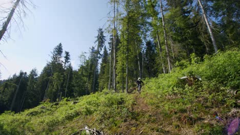 Mountainbiker-Kommt-Aus-Dem-Wald-In-Eine-üppige-Waldöffnung