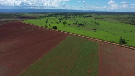enormes tierras de cultivo que reemplazan al cerrado brasileño deforestado para plantar soja - sobrevuelo aéreo