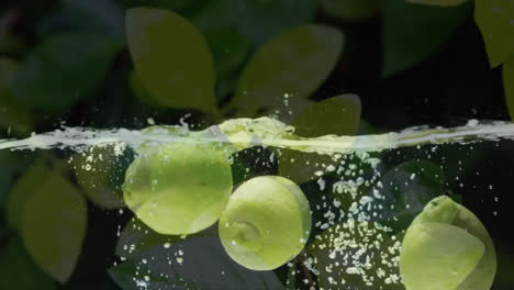 Composition-of-green-leaves-over-lemons-floating-in-water-on-black-background