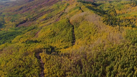 Fall-Auf-Owl-Creek-Pass,-Colorado