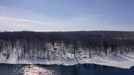 Drone-Moviéndose-Lateralmente,-A-Lo-Largo-De-La-Orilla-De-Un-Bosque-En-Invierno-Soleado