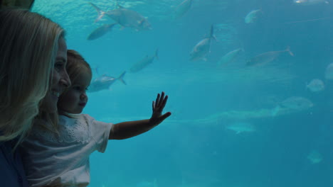 happy mother with daughter at aquarium looking at beautiful fish swimming in tank little girl watching marine animals with curiosity having fun learning about marine life with mom in oceanarium