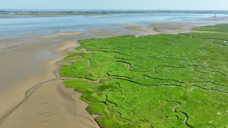 Aerial-shot-of-vibrant-green-wetlands-and-muddy-banks-along-a-calm-river-navigated-by-a-red-cargo-ship-under-a-blue-sky