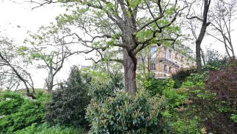 lush greenery and historic building in paris