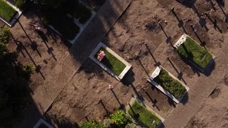 tumba con flores en el cementerio de chacarita en buenos aires, argentina
