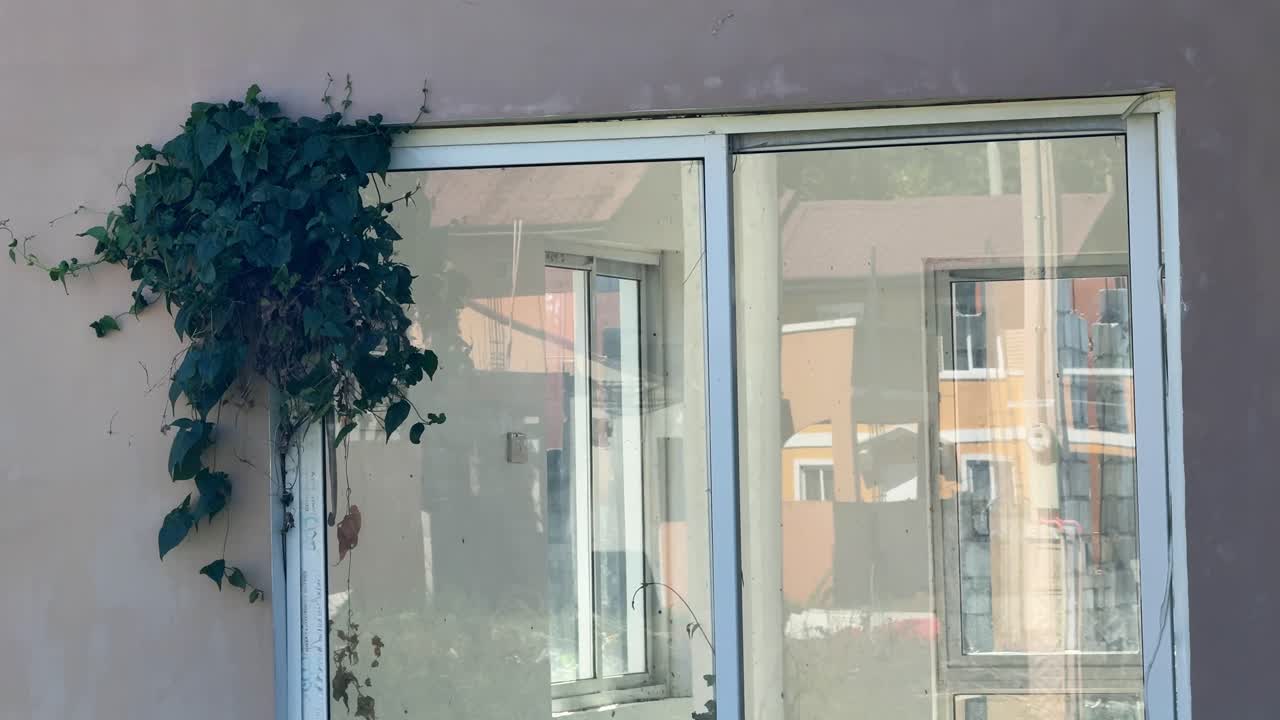 Una porta a vetri di una casa abbandonata in una zona residenziale, ricoperta da erba selvatica