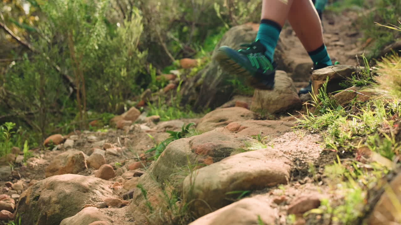 Hiking Trail Adventure