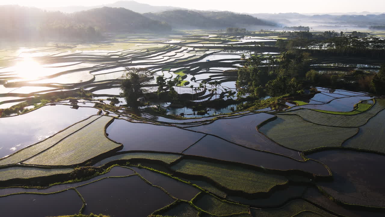 vista aérea del sol reflejado en el agua en los campos de arroz durante el amanecer