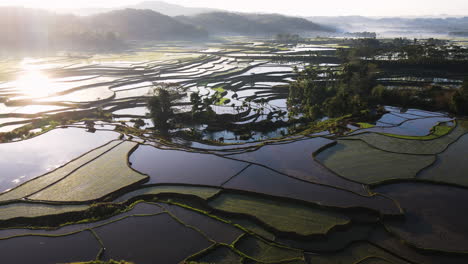 Vista-Aérea-Del-Sol-Reflejándose-En-El-Agua-En-Los-Campos-De-Arroz-Durante-El-Amanecer