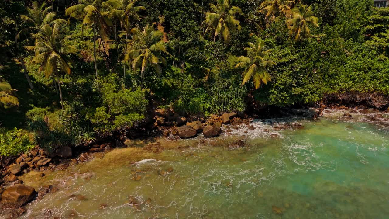 A stunning aerial drone shot of Mirissa Beach, showcasing its crystal-clear blue waters and lush palm trees lining the shore.