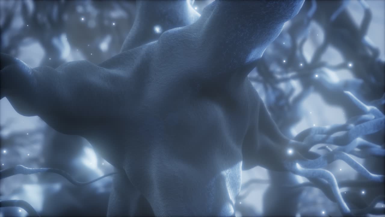 뇌 안의 신경 세포 네트워크를 통해 여행합니다.