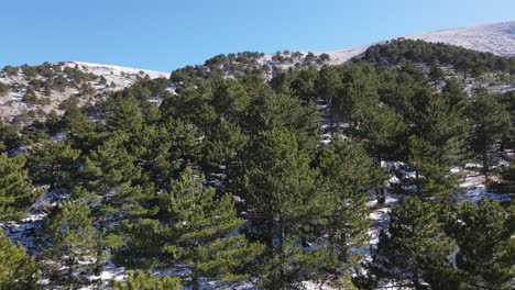 Montaña-Cubierta-De-Nieve