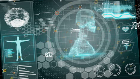 animación del procesamiento de datos sobre el esqueleto